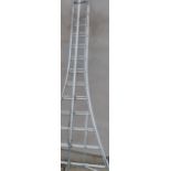 An adjustable aluminium tree surgeon's/hedge trimming ladder with hinged adjustable stabiliser