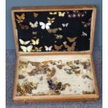 Taxidermy interest late 19th/20thC collection of butterflies in case with 'Caught in India' on lid