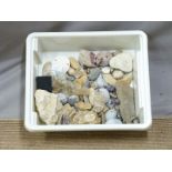 Collection of fossil/mineral samples