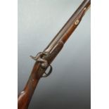 Enfield pattern 16 bore percussion hammer action gun with chequered grip, steel trigger guard and