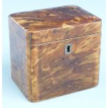 19thC tortoiseshell tea caddy, W11cm