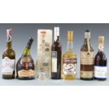 A collection of assorted wines and spirits, comprising Capovilla Distillati fruit liqueur 500ml, 44%