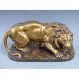 Antoine-Felix Boure gilt plaster model of a lion, signed and dated 1873 to rear corner, L45 H21cm