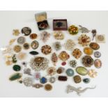 A collection of vintage brooches including sphinx, Exquisite brooch, Miracle etc