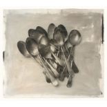 Stephen Inggs; Spoons