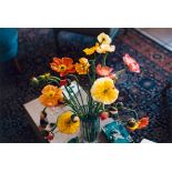 Wolfgang Tillmans; Mohn