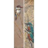 South African School 20th Century; Kingfisher; and Brown Hooded Kingfisher, two