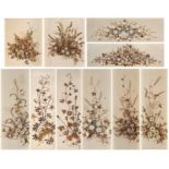 Ten dried flower panels, Dinty Moore, modern