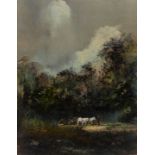 James Mooney; Ploughing