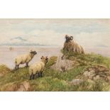 John Robert Keitley Duff; Sheep along the Shoreline