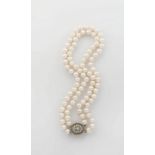 Double-row cultured pearl necklace