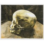 Walter Oltmann; Child Skull B