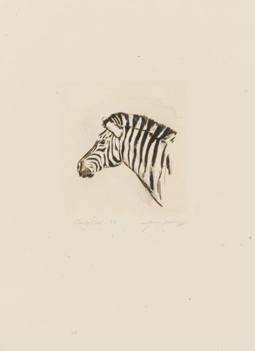 Heinz Pulon; Zebra