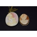 Two carved shell cameo brooches.