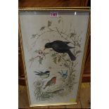 English School, garden birds, a pair, indistinctly signed and inscribed, watercolour on silk, 54.5 x