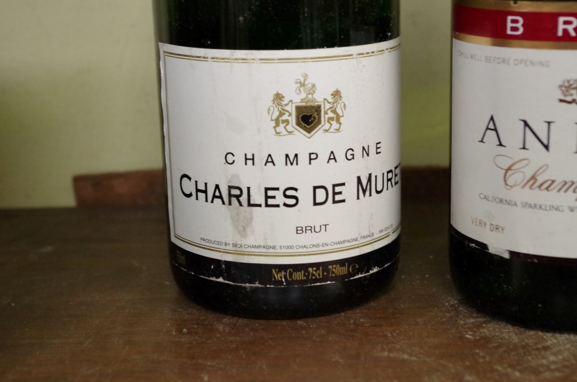 Five various bottles of champagne, to include a Moet & Chandon NV; an Andre Bonin 1996; and - Image 6 of 8