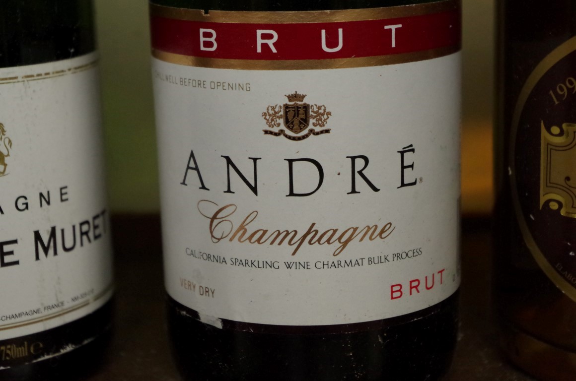 Five various bottles of champagne, to include a Moet & Chandon NV; an Andre Bonin 1996; and - Image 7 of 8