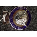 A Royal Antediluvian Order of Buffaloes chrome and enamel car radiator badge, in card box.