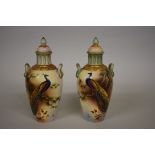 A pair of Locke & Co Worcester twin handled vases and covers, each painted with a peacock by J