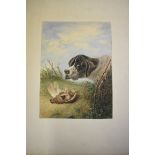 English School, Gun dog and prey, a pair, watercolour and bodycolour, 32 x 24.5cm, unframed.