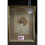 World War I: a pressed flower from Jerusalem and letter extract from Pte Wesley Moore, RAMC, dated