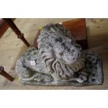 An old weathered composition stone lion, on its haunches, 56cm wide.