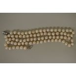 A single strand of pearls, having silver and pearl clasp, 79cm.