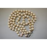 A single strand of pearls, having silver and pearl clasp, 79cm.