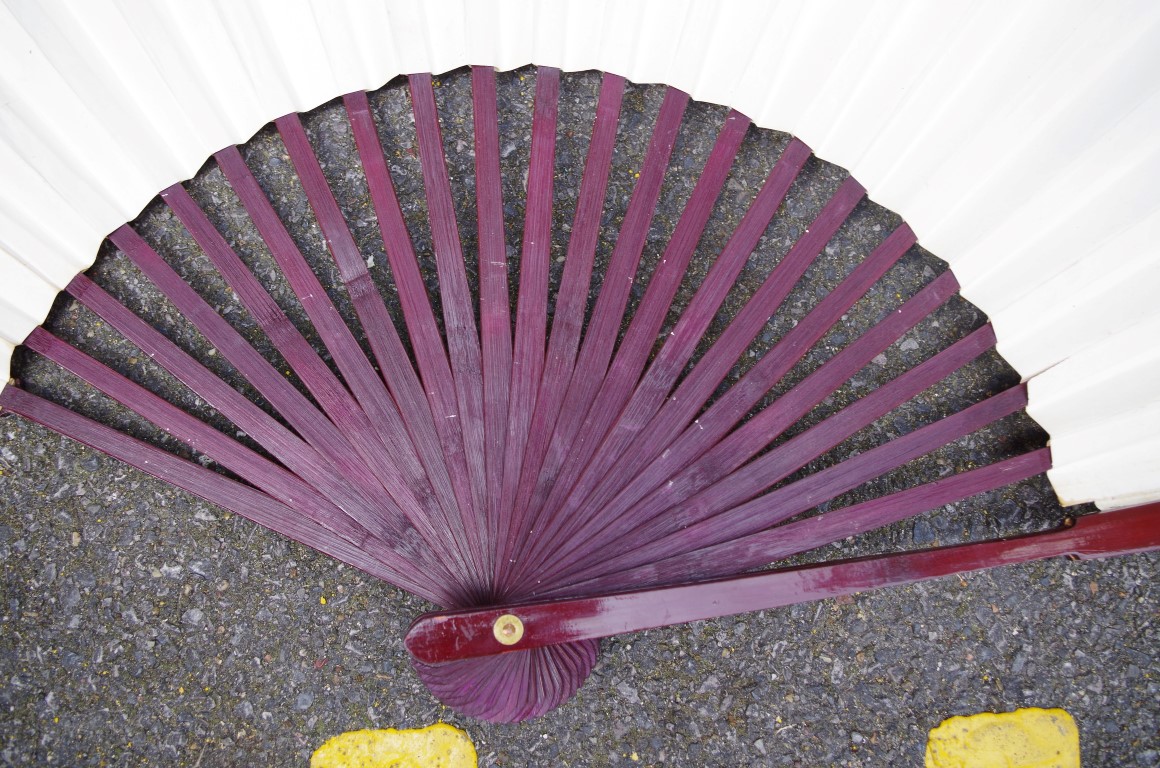 A large Chinese watercolour painted fan, decorated with birds in a landscape, signed, the guards, - Image 6 of 6