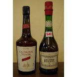 Two 70cl bottles of calvados, comprising: Breavoine 8 year old; and Busnel Vieille Reserve VSOP. (2)