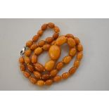 A 'butterscotch' amber bead necklace, of forty three oval graduated beads, 67cm long, 41.7g.