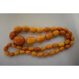 A 'butterscotch' amber bead necklace, of forty three oval graduated beads, largest bead 4cm, 155g.