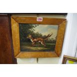 European School, a fox, oil on panel, 19 x 24cm, in a maple frame.
