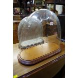 A glass dome and mahogany stand, the dome 40 x 47cm.
