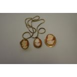 A carved shell cameo gold pendant; together with a similar gold ring; a brooch; and a gold chain,