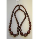 A graduated cherry amber two strand bead necklace, 39.5cm, largest bead 25mm, weight 60.4g.