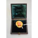 A coral unmarked yellow metal shell brooch, in fitted case, 2.5cm.
