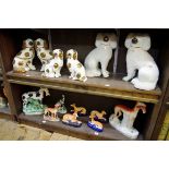 An interesting collection of Staffordshire pottery dogs. (14)