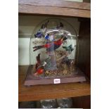 Taxidermy: a display of exotic birds under a glass dome, 33.5cm high.