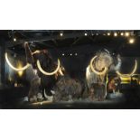 Natural History: An impressive life size model of a mammoth 340cm high by 600cm long