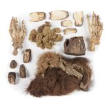 Natural History: A similar collection including two Cave bear paws Pleistocene, Yakutia, Siberia