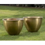 Planters/Pots: A pair of brass plantersmodern60cm high by 75cm diameter