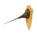 Taxidermy: A sword fish head on wooden plaqueearly 20th century60cm high by 67cm deep