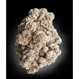Minerals: A desert roseMexico46cm