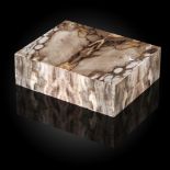 Display Boxes: A superb fossil wood veneered box16cm by 12.5cm