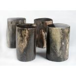 Chairs: Four fossil wood stools40cm high