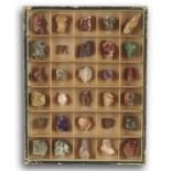 Minerals: A collector’s hanging cabinet of worldwide mineral curiosities50cm by 39cm