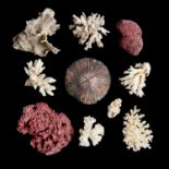 Natural History: A box of assorted coralsThis lot and lots 520 to 526 come from the collection of