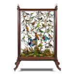 Taxidermy: A magnificently appointed and highly ornate rosewood case by the celebrated 19th