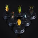 Decorative/Interior Design: A collection of colourful beetle specimens in display domes, modern